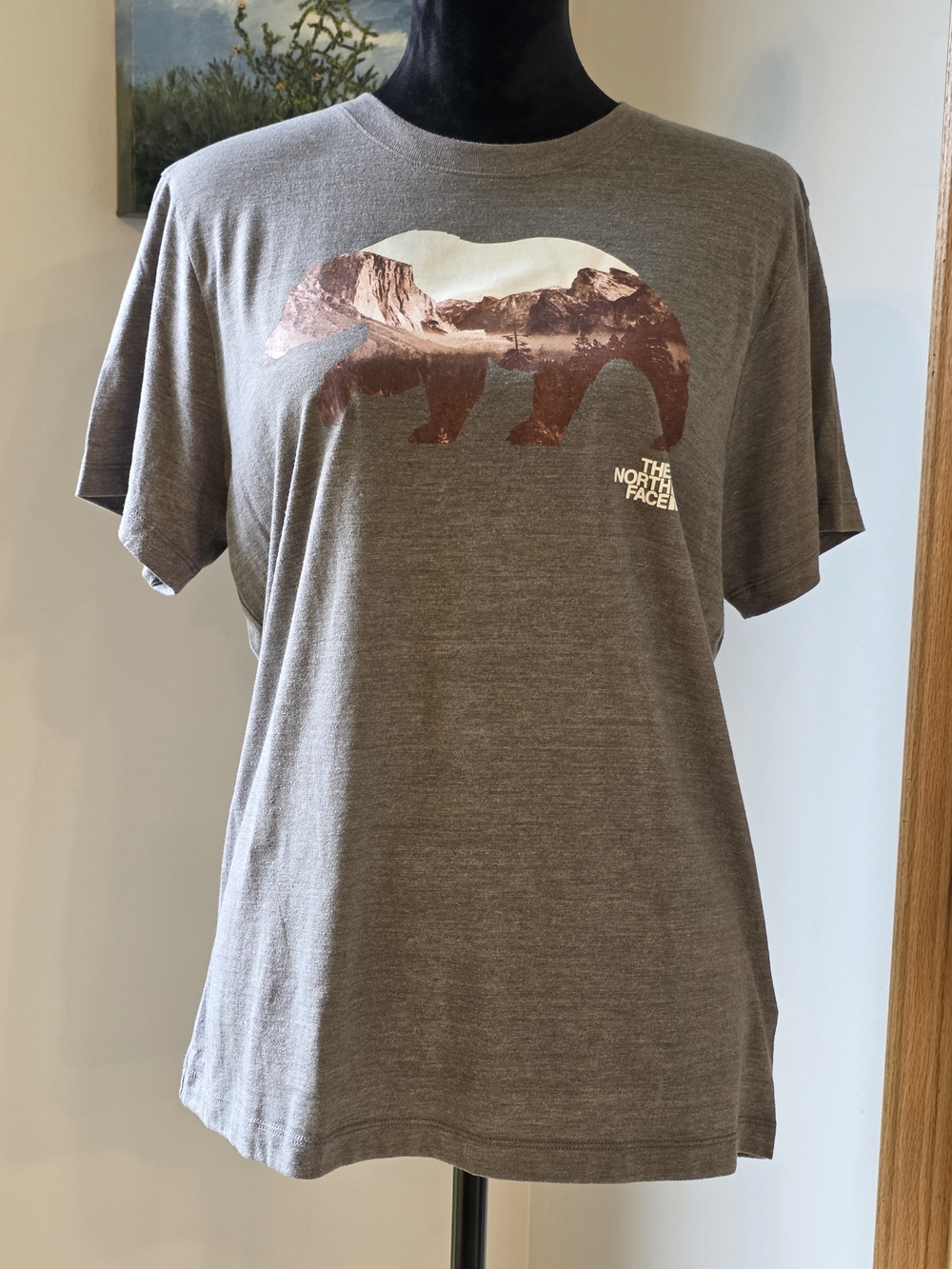 The North Face Evolution Bear Tee- Women's Size Large